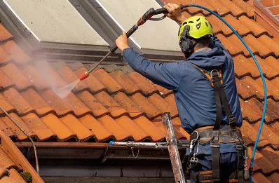 Démoussage et hydrofuge de toiture à Gueschart